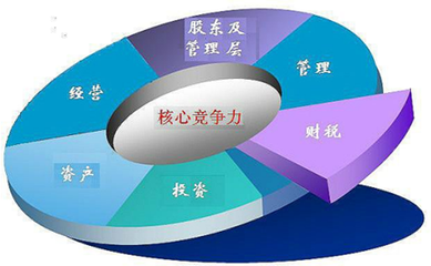 上海市中小企業(yè)發(fā)展服務(wù)中心丁才慶副主任一行蒞臨春雷所指導(dǎo)工作